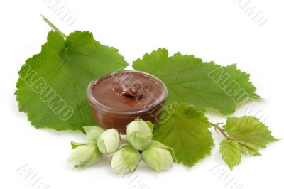 Chocolate creme with hazelnuts