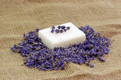 Nature Soap