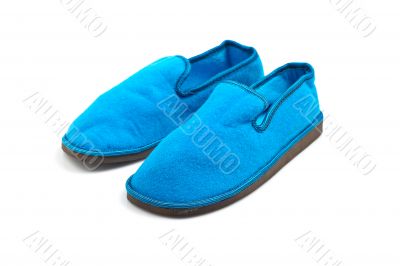 Lady blue slippers