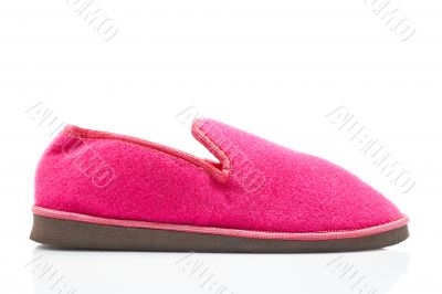 Lady pink slipper