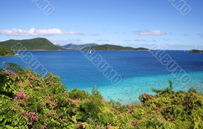 Leinster Bay Vista