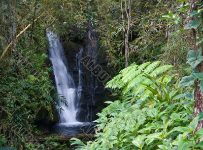 Flowing waterfall in the garden