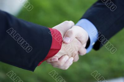 Business Handshake