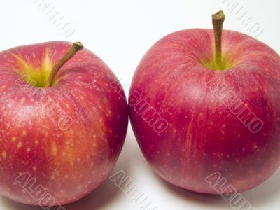 Apples