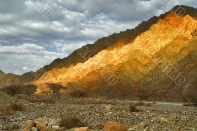 Gold mountain