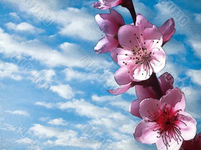 Perfume of spring