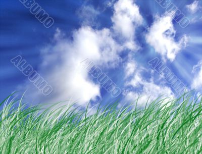 Grass and sky