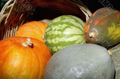 Basket of pumpkins