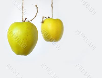 Hanging apples