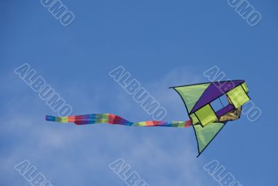 Kite
