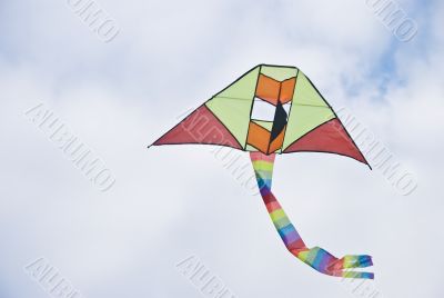 Kite