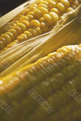 Corn