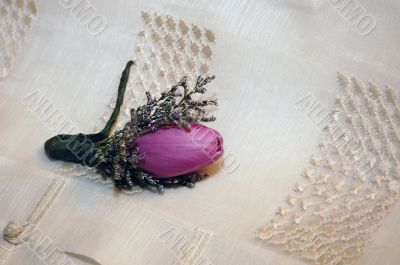 Pink Flower