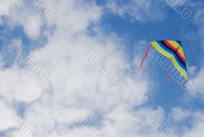 Kite