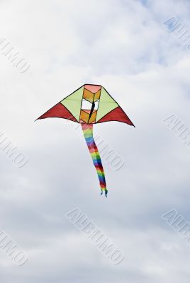 Kite