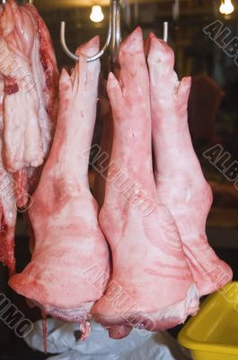 Pig