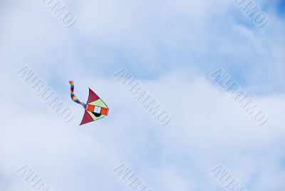 Kite