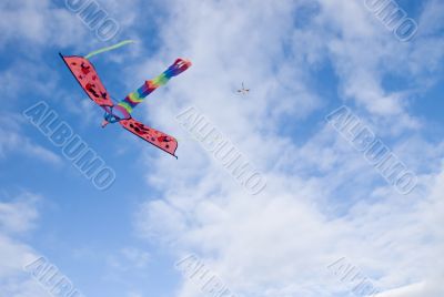 Kite