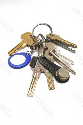 meni keys