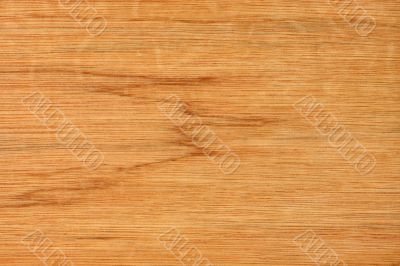 Rough wood texture