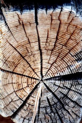 Wooden Background