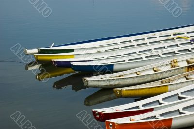 Dragon Boats