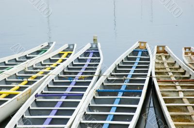 Dragon Boats