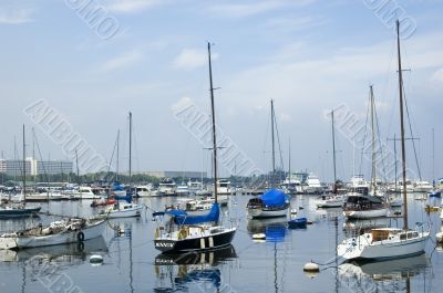Sailboats