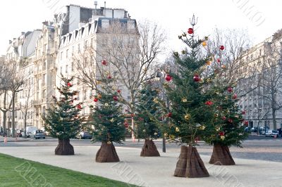 Streets of Paris before Christmas
