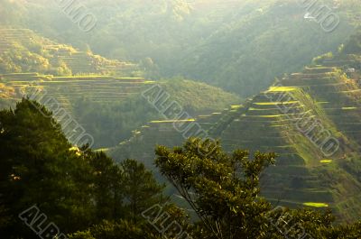 Banaue Sunrise