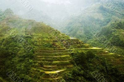 Banaue Rice Terraces