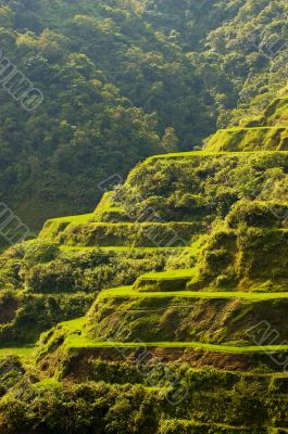 Hapao Rice Terraces