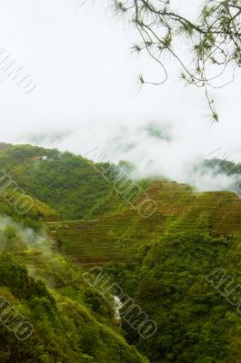 Banaue Rice Terraces