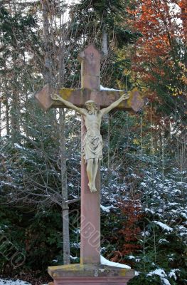 Cross