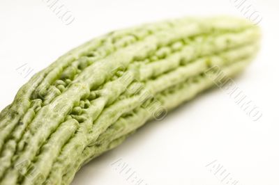 Ampalaya