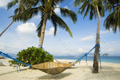 Hammock