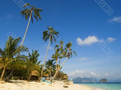 Resort