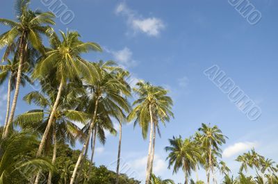 Beach Resort