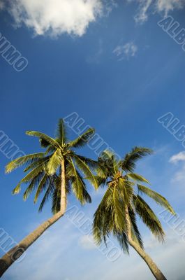 Beach Resort