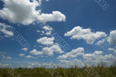 Fluffy clouds