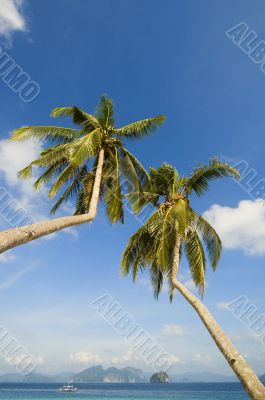 Beach Resort