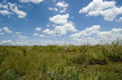 Fluffy clouds