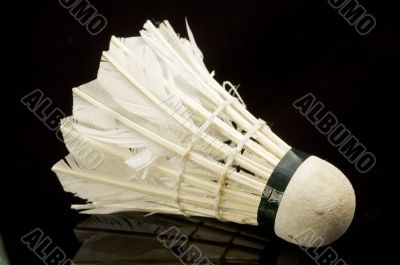 Shuttlecock