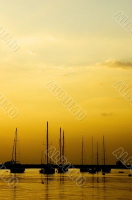 Yatchs