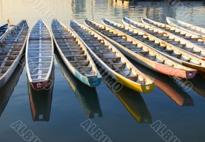 Dragon Boats