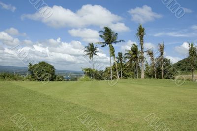 Golf Greens