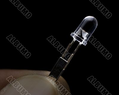 Tiny Bulb