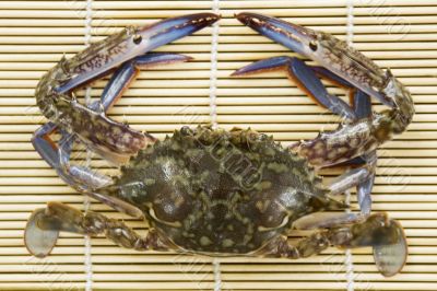 Crab