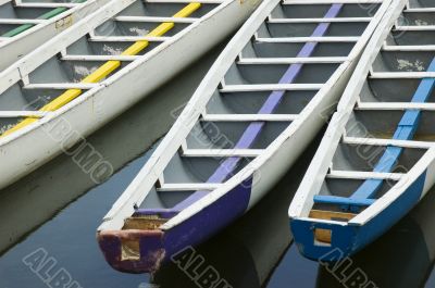 Dragon Boats