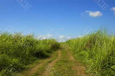 Dirt Road